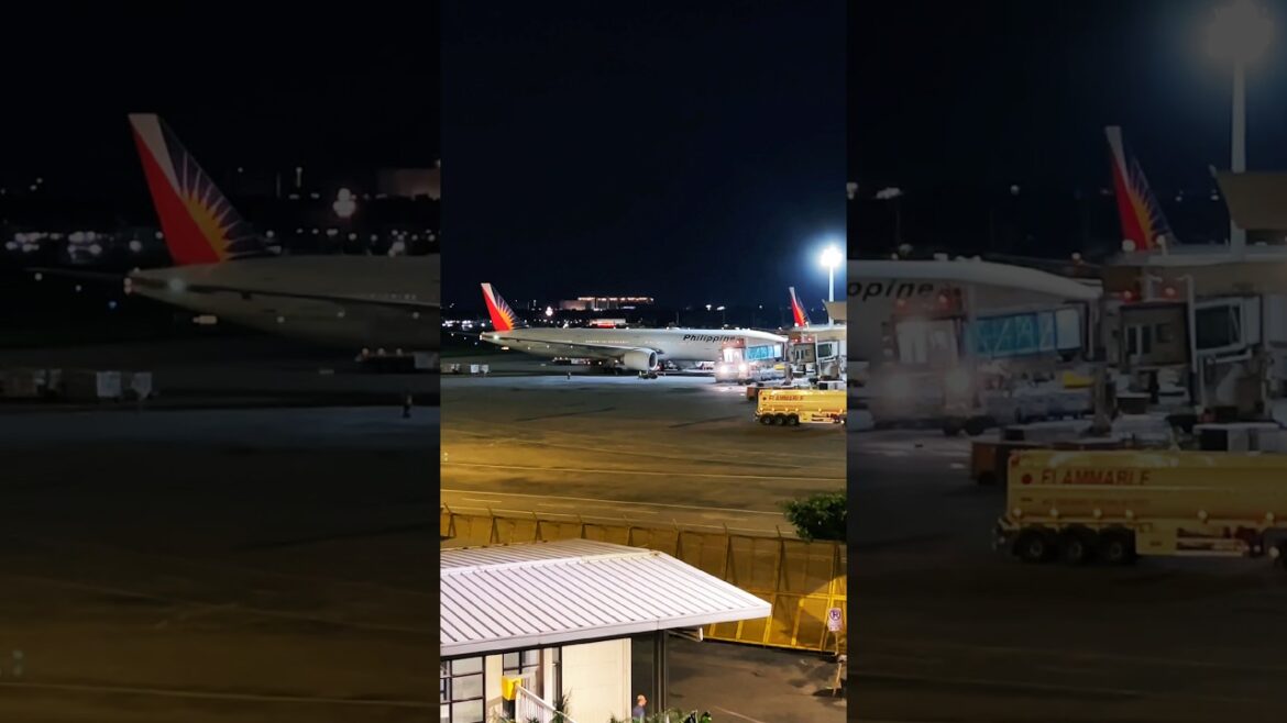 HAVE YOU ALSO DREAMED OF BECOMING A PILOT? #aviation #flight #plane #pilot #travel #airlines #fyp HAVE YOU ALSO DREAMED OF BECOMING A PILOT? #aviation #flight #plane #pilot #travel #airlines #fyp