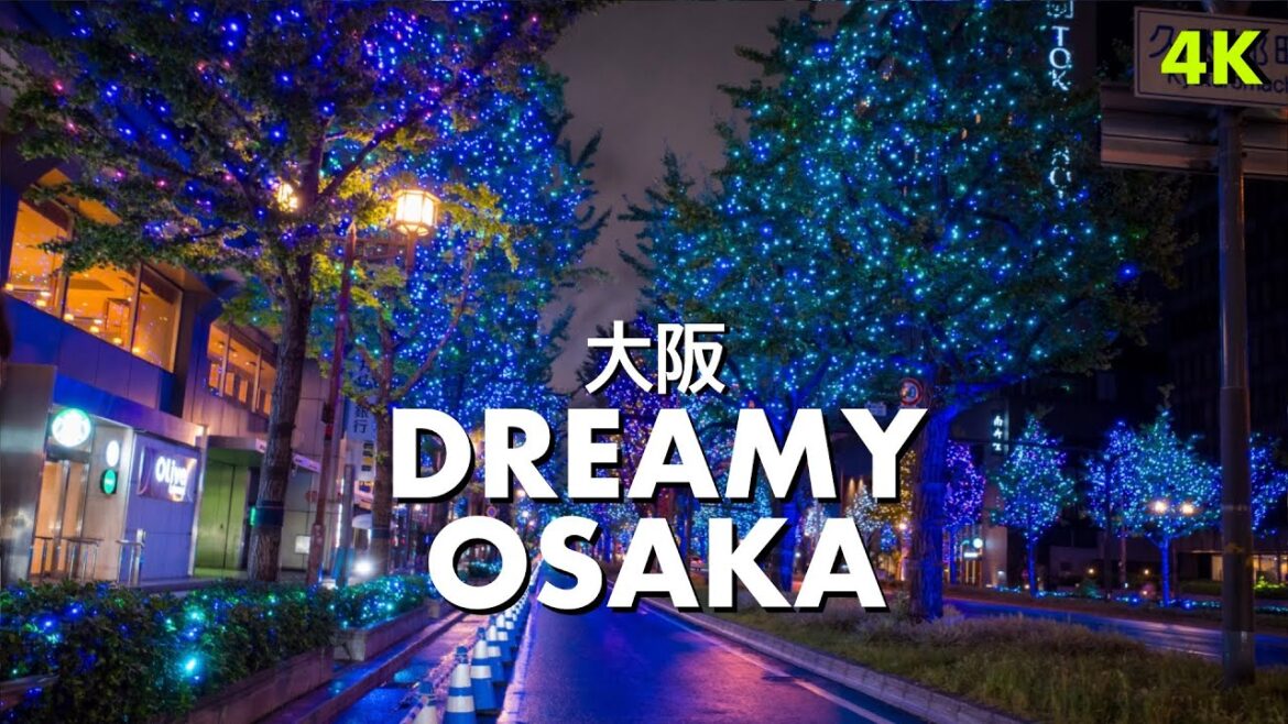 Osaka at Night Feels Like a Dream 🇯🇵✨ Midosuji Illumination 2025 御堂筋 大阪 | 미도스지 오사카 | 4K