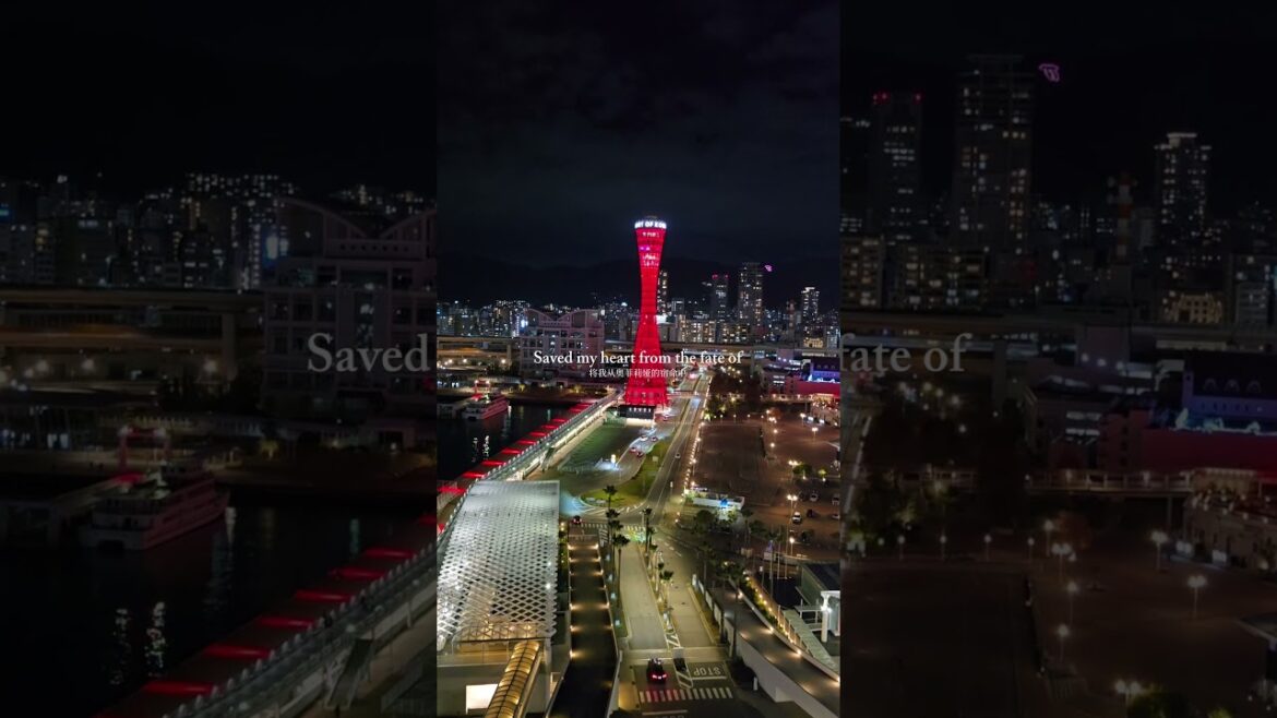 突然覺得Taylar Swift 的歌好好聽啊🥰#vlog #vlogs #vlogvideo #travelvlog #travel #kobe #神戶 #japan  #taylorswift