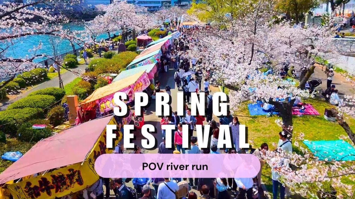 I caught the sakura in full bloom | POV run in Osaka, Japan I caught the sakura in full bloom | POV run in Osaka, Japan