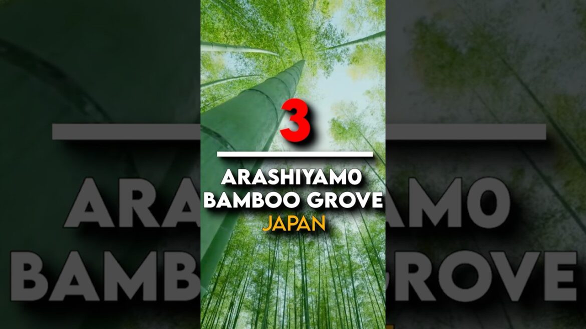 π Arashiyama Bamboo Grove | Wonders of Kyoto | The Most Amazing Places in Kyoto, Japan π―π΅ π Arashiyama Bamboo Grove | Wonders of Kyoto | The Most Amazing Places in Kyoto, Japan π―π΅