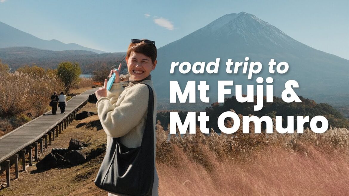 Day trip to Mt. Fuji and surrounding lakes! | Izu Peninsula | Japan Travel Vlog NOV 2025 Day trip to Mt. Fuji and surrounding lakes! | Izu Peninsula | Japan Travel Vlog NOV 2025