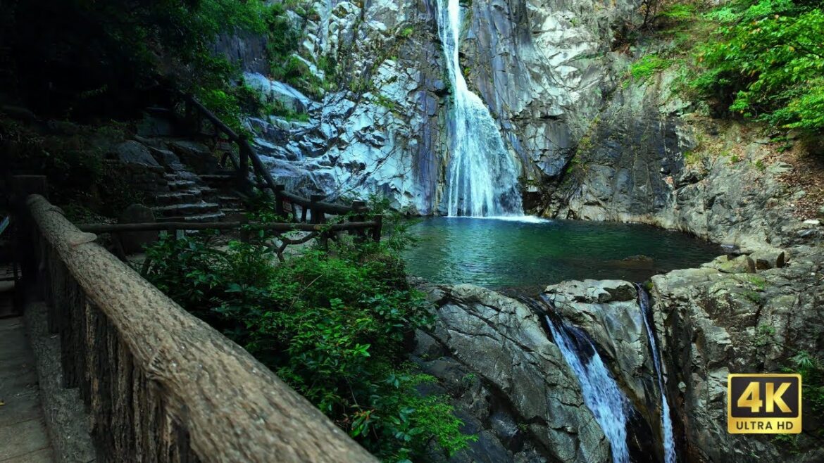 [4K HDR] 🇯🇵 Kobe Herb Garden Finale | Quiet Nature Journey (Part 5)