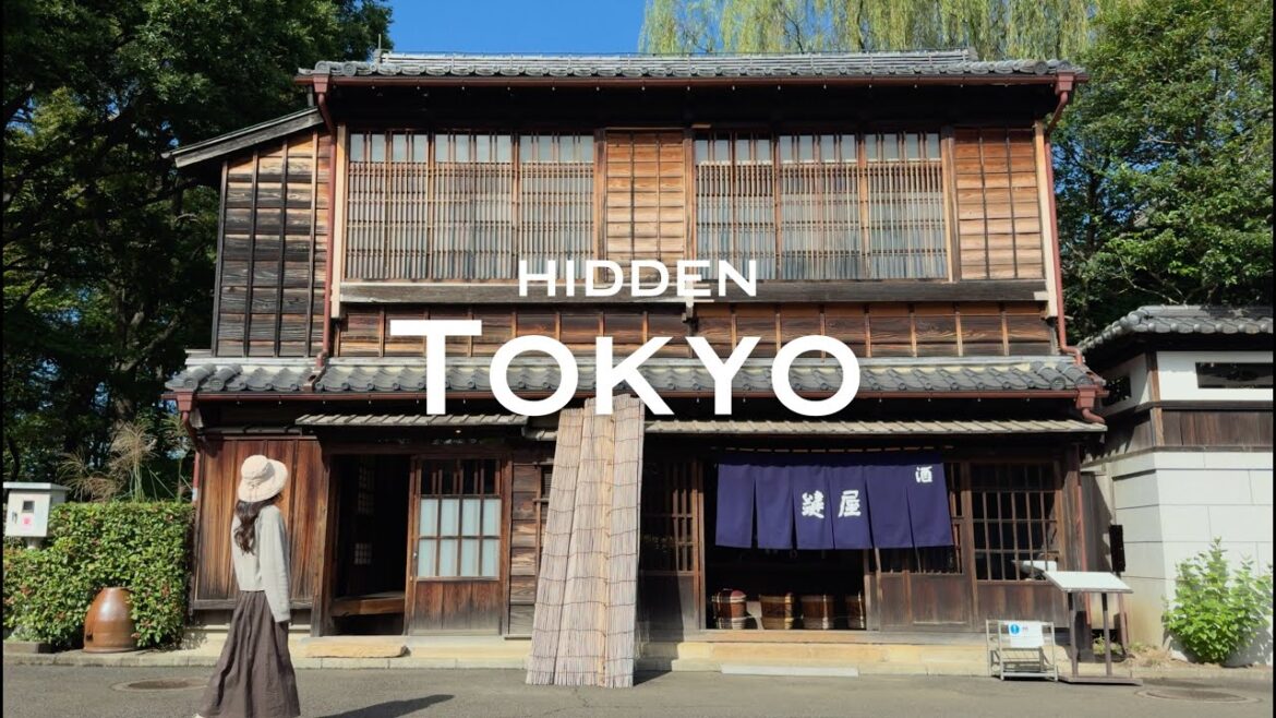 Tokyo Beyond the Usual | 3 Days of Architecture, Antique Market, Art & Local Finds | JAPAN VLOG Tokyo Beyond the Usual | 3 Days of Architecture, Antique Market, Art & Local Finds | JAPAN VLOG