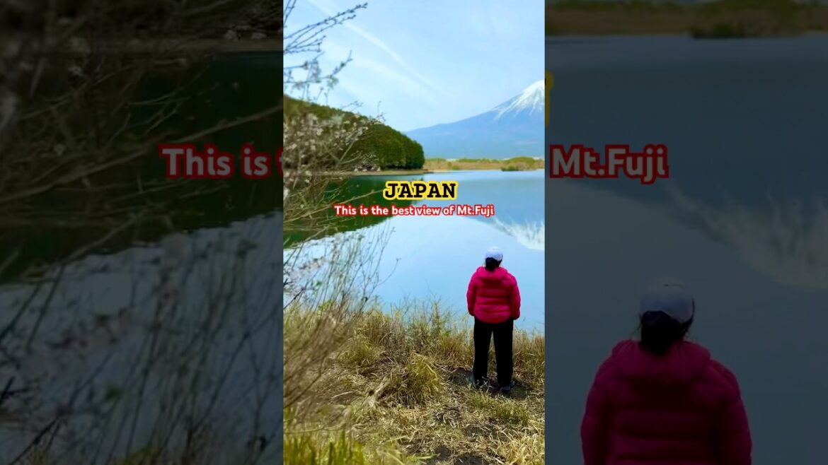 Do you agree? #japan #japantravel #mtfuji #mountfuji #fujinomiya #japanvlog #travel #japanese