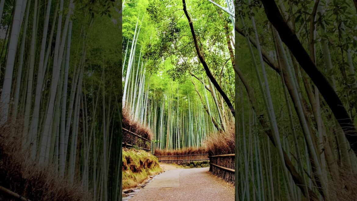 Kyoto´s Most Magical Spots