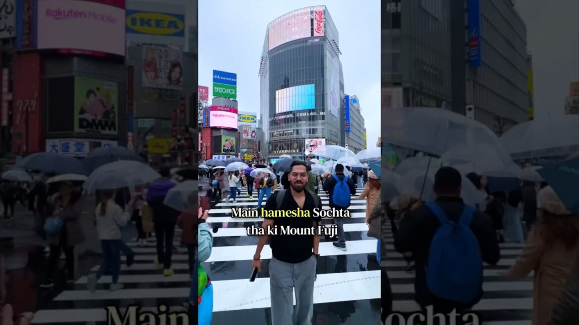 Shocking Fact about Mount Fuji Japan 🇯🇵 #travel #japantravel #japanfacts Shocking Fact about Mount Fuji Japan 🇯🇵 #travel #japantravel #japanfacts