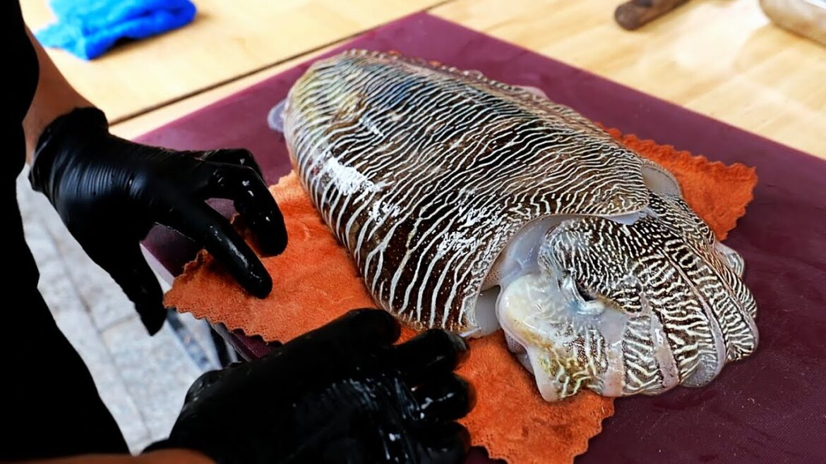 GIANT CUTTLEFISH Vietnamese Street Food