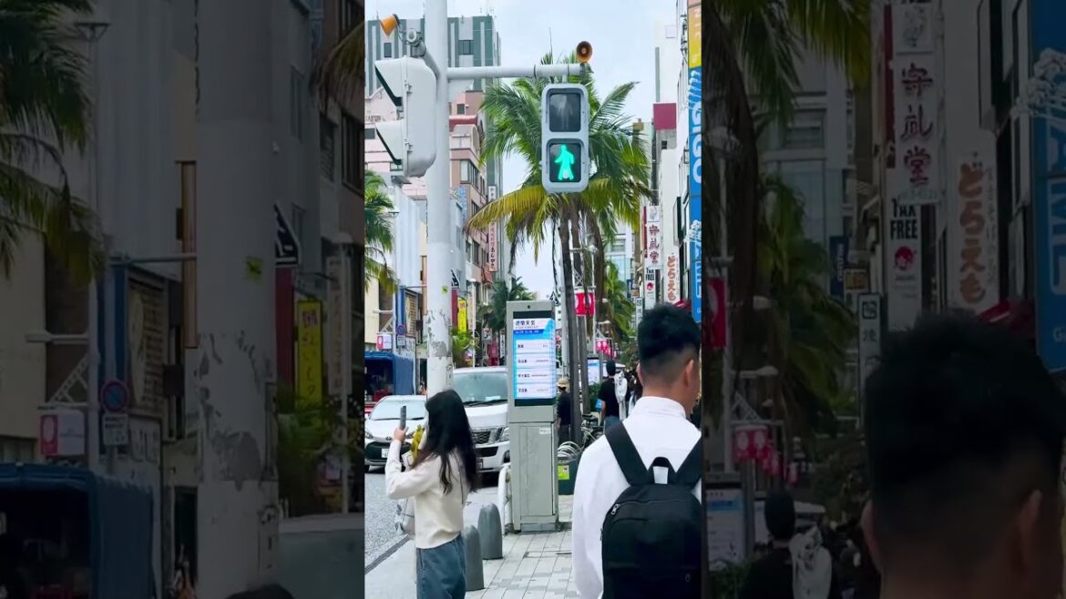 Okinawa trip HANUMAN – Ultimate, Travel, Japan, Street Food Okinawa trip HANUMAN – Ultimate, Travel, Japan, Street Food