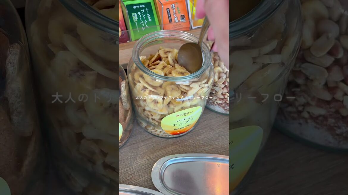 1泊2日の車なしで行く🚶伊豆温泉ひとり旅