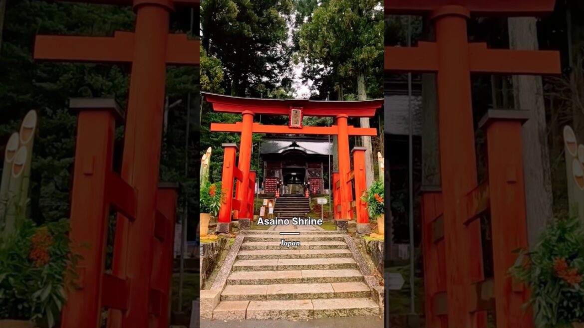 A peaceful Shinto shrine in Niigata, Japan.⛩️🇯🇵 A peaceful Shinto shrine in Niigata, Japan.⛩️🇯🇵