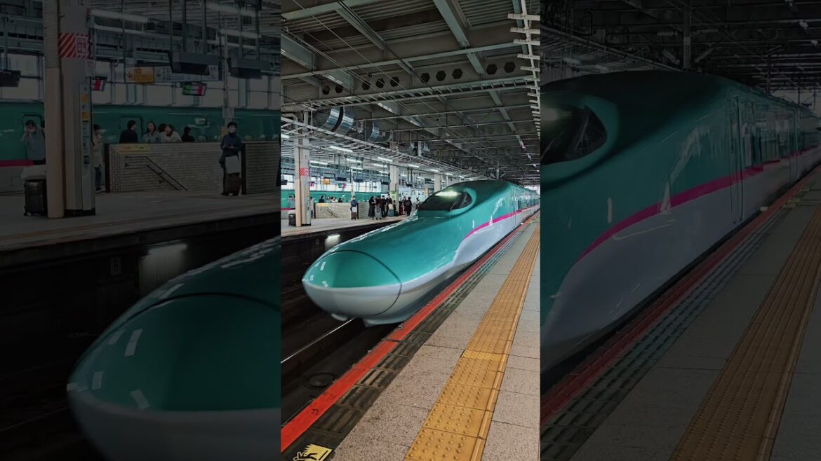 Sendai - Hakodate. #shikansen #travel #japan #tohoku #sakura