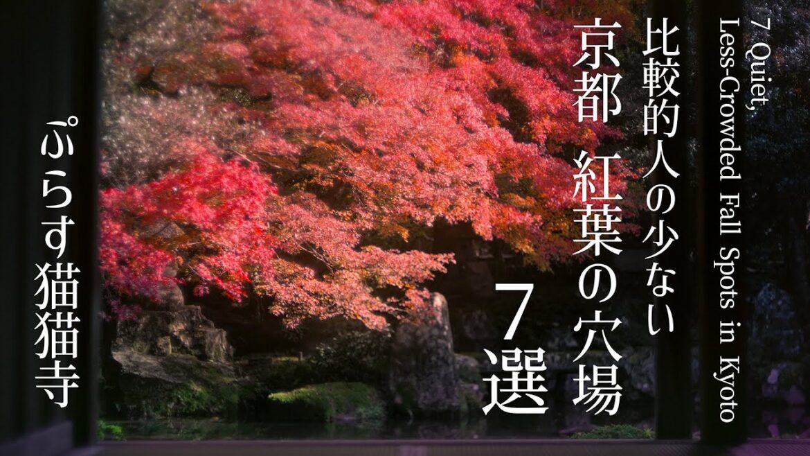 【京都の紅葉4K】🍁京都紅葉の穴場7選｜7 Quiet, Less-Crowded Fall Spots in Kyoto