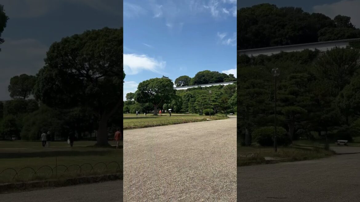 【KOBE】Must-See Hidden Gems - Akashi Castle Park
