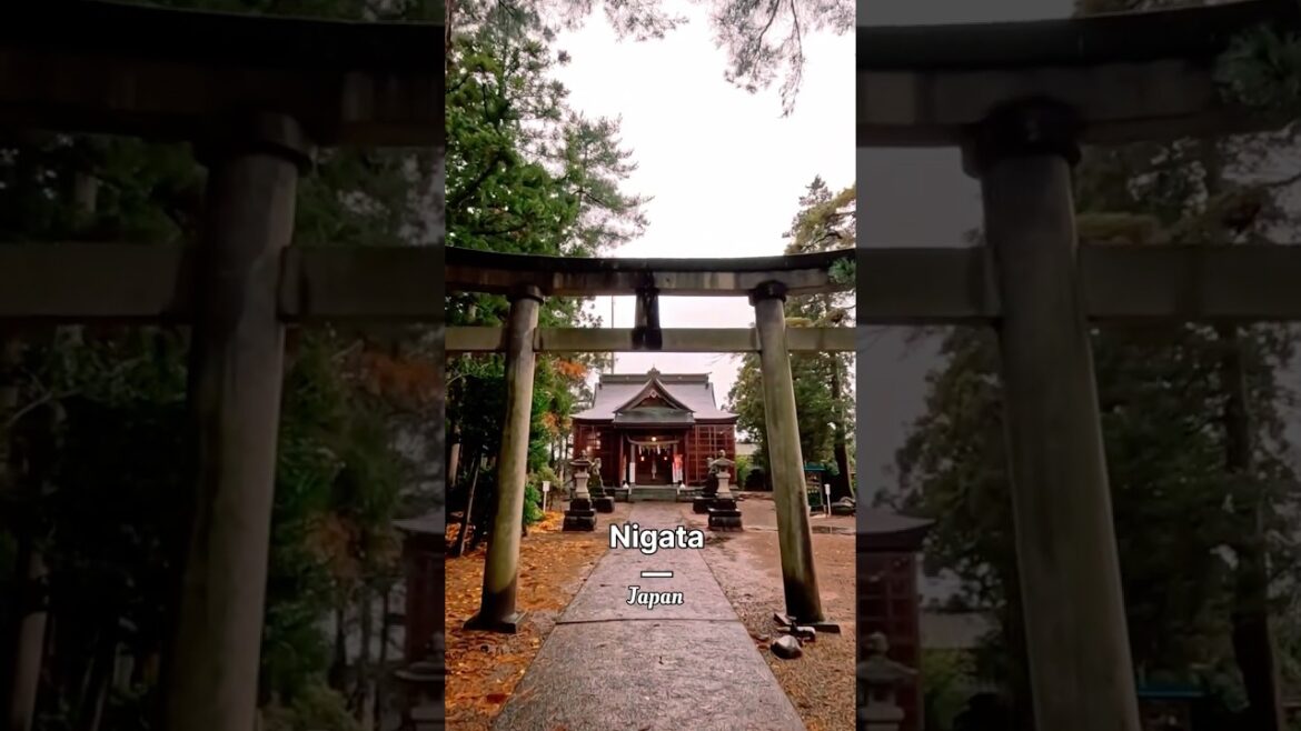 Like 👍 Subscribe 🔔Japan, “Suibarahachimangu Shrine — a peaceful hidden gem in Niigata.”⛩️🇯🇵
