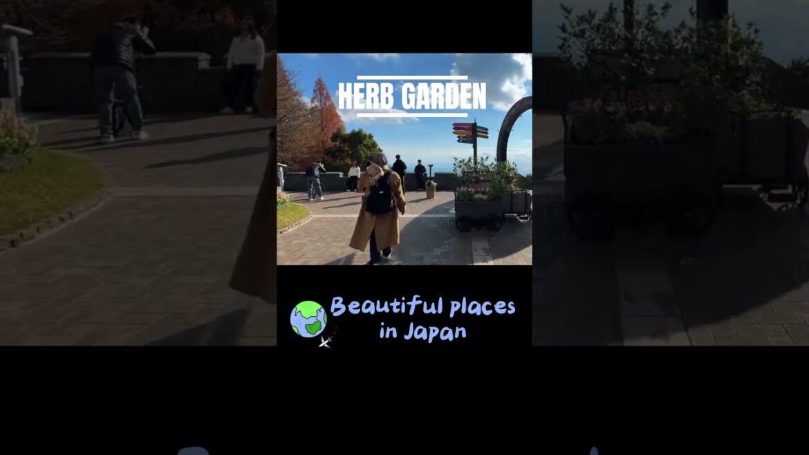 Beautiful Places In Japan