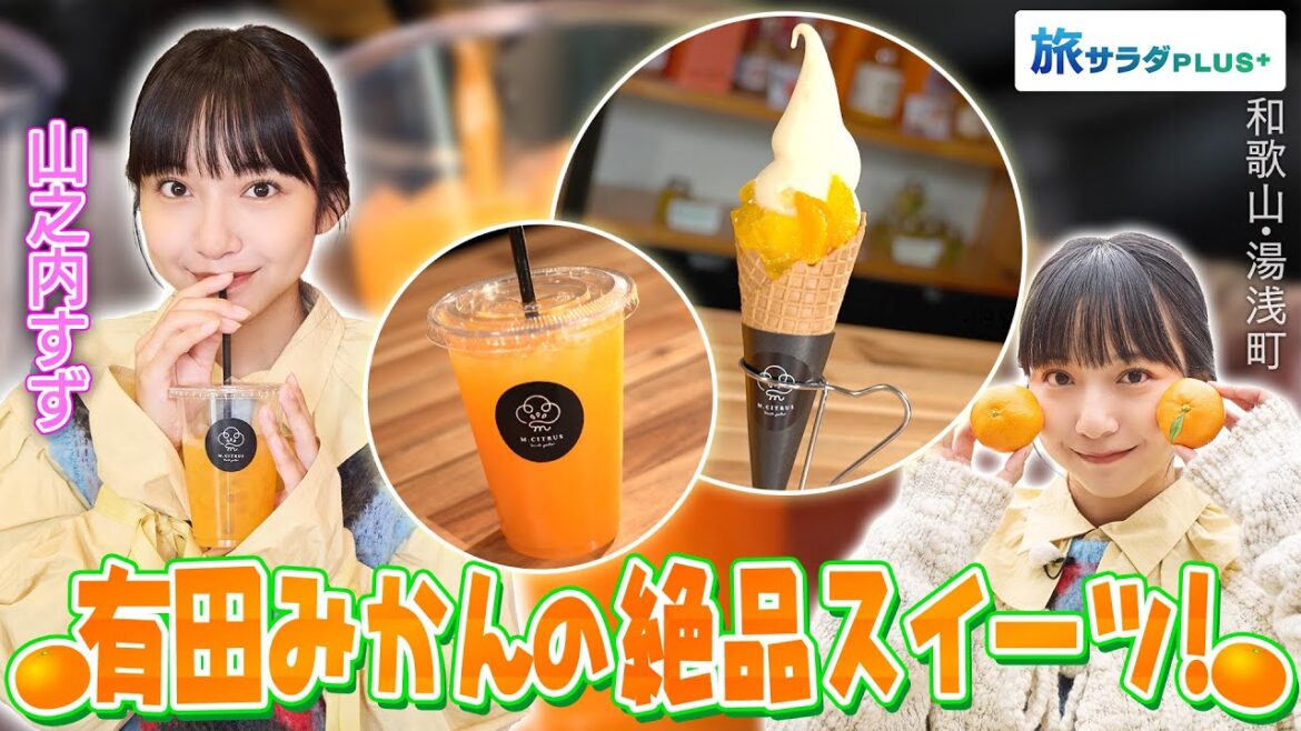 【山之内すずin和歌山・湯浅町】感動の甘さ!極上みかん〈ロコレコ〉 【山之内すずin和歌山・湯浅町】感動の甘さ!極上みかん〈ロコレコ〉