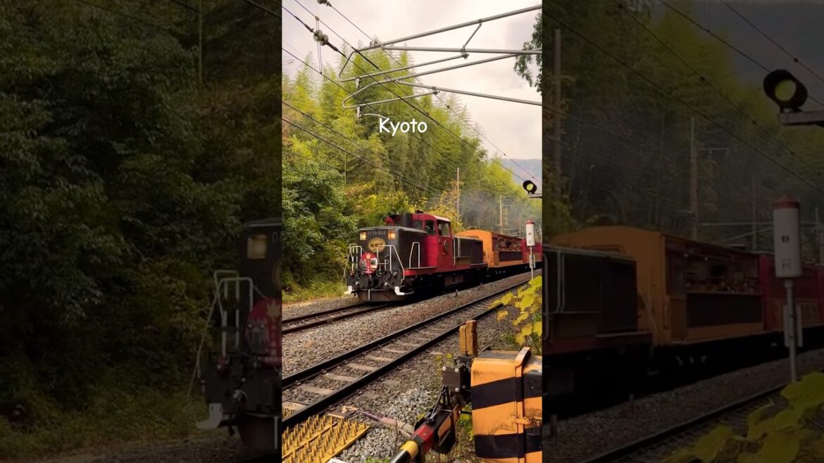 Kyoto , Japan🇯🇵 #shortsfeed #travel #japan #ytshorts #trending