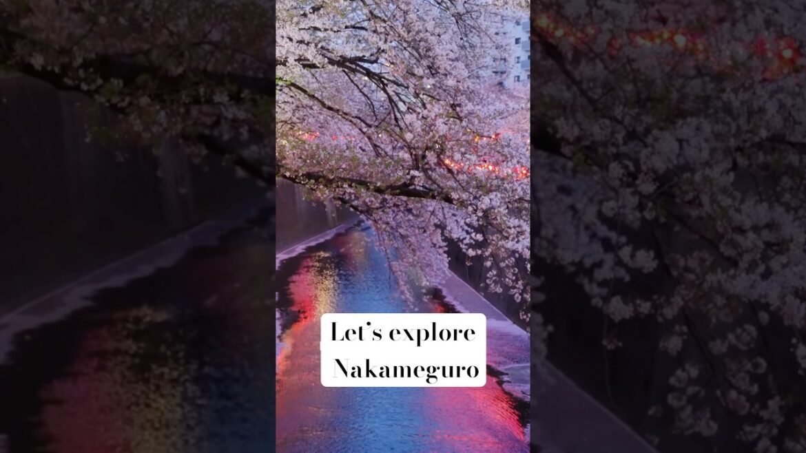 Why Is Everyone Obsessed With Nakameguro Tokyo?