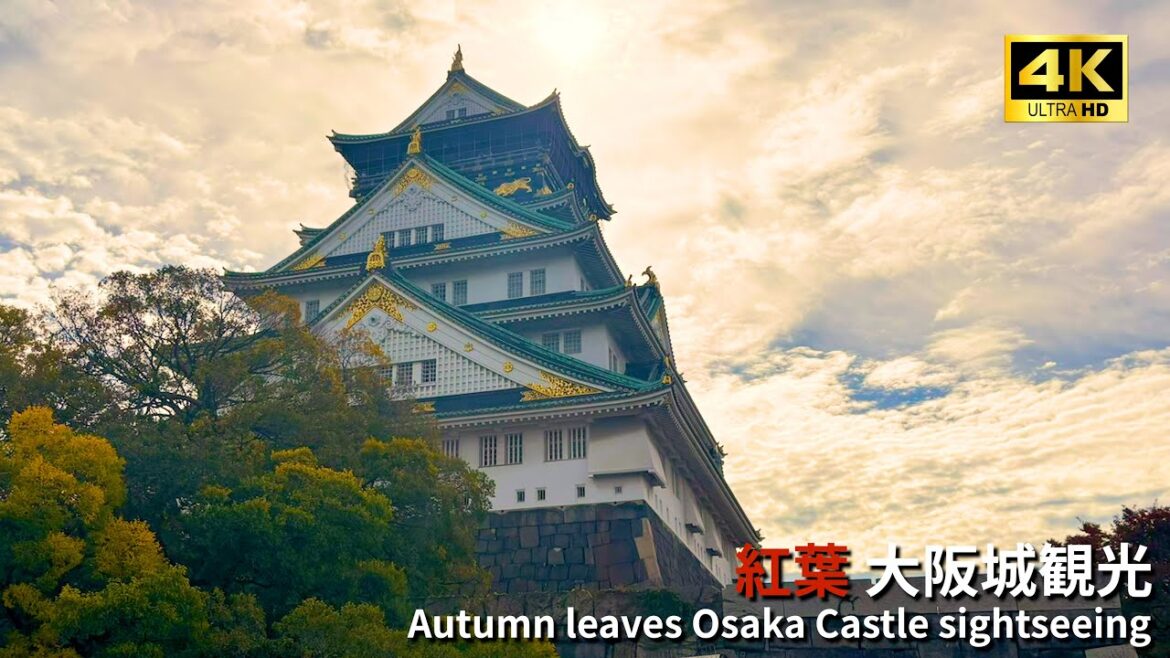 Osaka Castle in Autumn Is Incredible | Red Leaves & Timeless Beauty【JP】