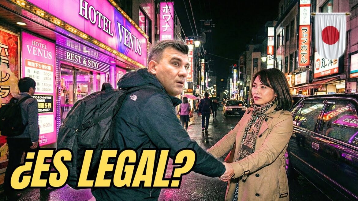 KIOTO: Templos de Día, ‘Hoteles’ de Noche. La Realidad KIOTO: Templos de Día, 'Hoteles' de Noche. La Realidad