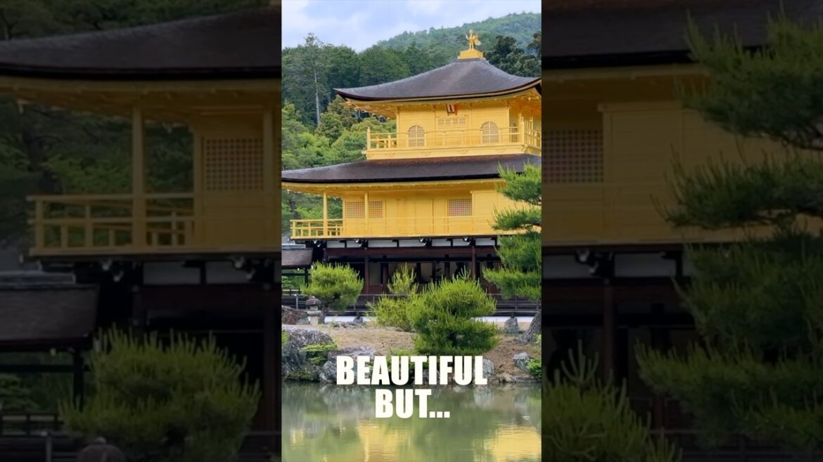 Japan’s Iconic Temple Drowning in Tourists! | Japan Travel #shorts