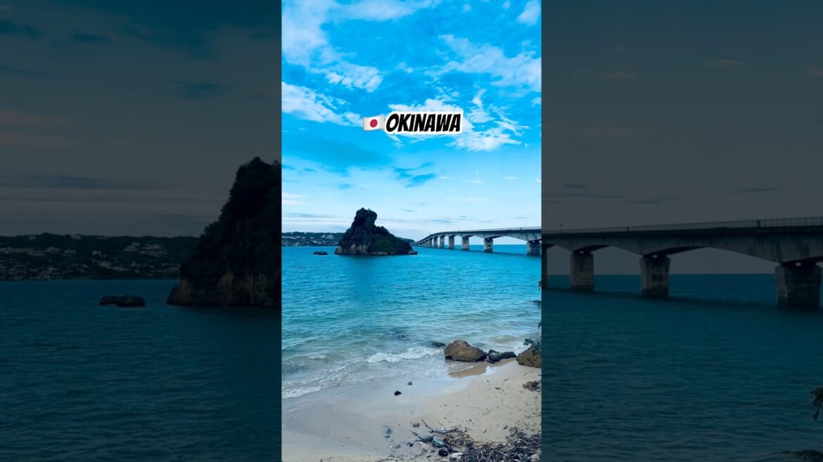 🇯🇵Come to Okinawa #japan #okinawa #沖繩 #churaumiaquarium #naha #nago #那霸 #名護 #本部町 #沖繩自駕遊