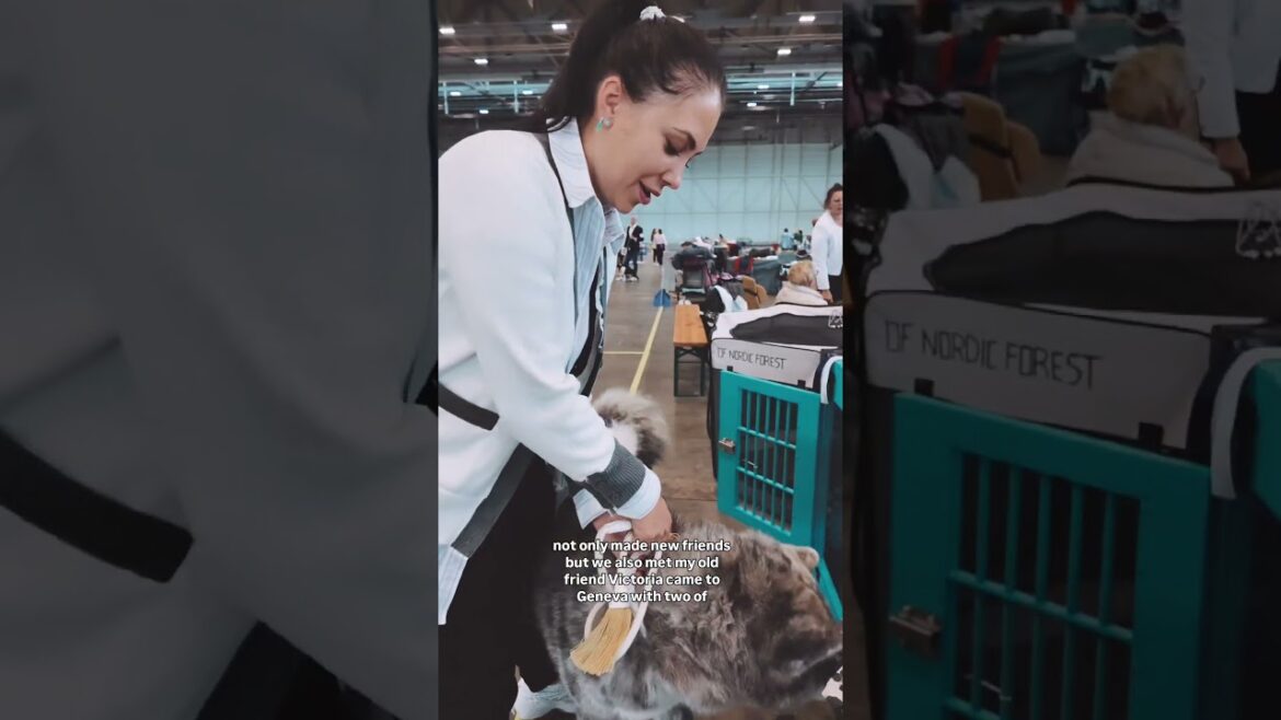 Met my friend at the Geneva Dog 🐕 Show #kirasha #dog