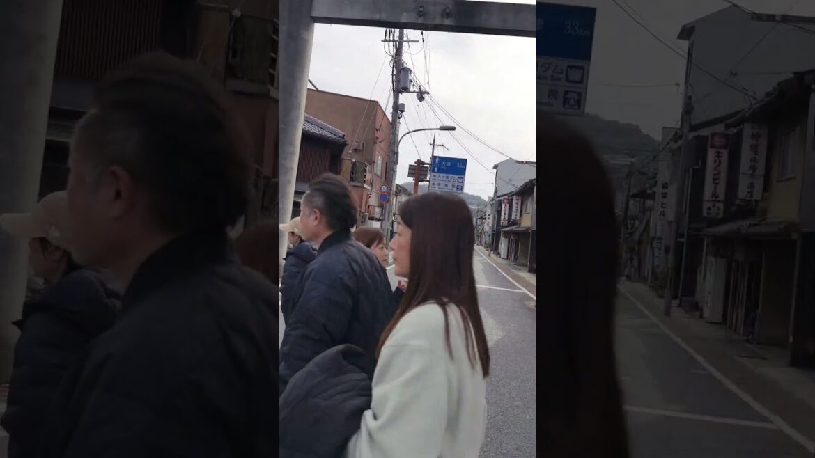 Hello Uji Kyoto #uji #kyoto #travel #japan