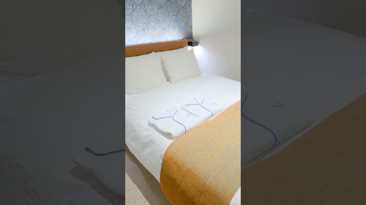 Best Budget-Friendly Hotel in Kobe, Japan🇯🇵