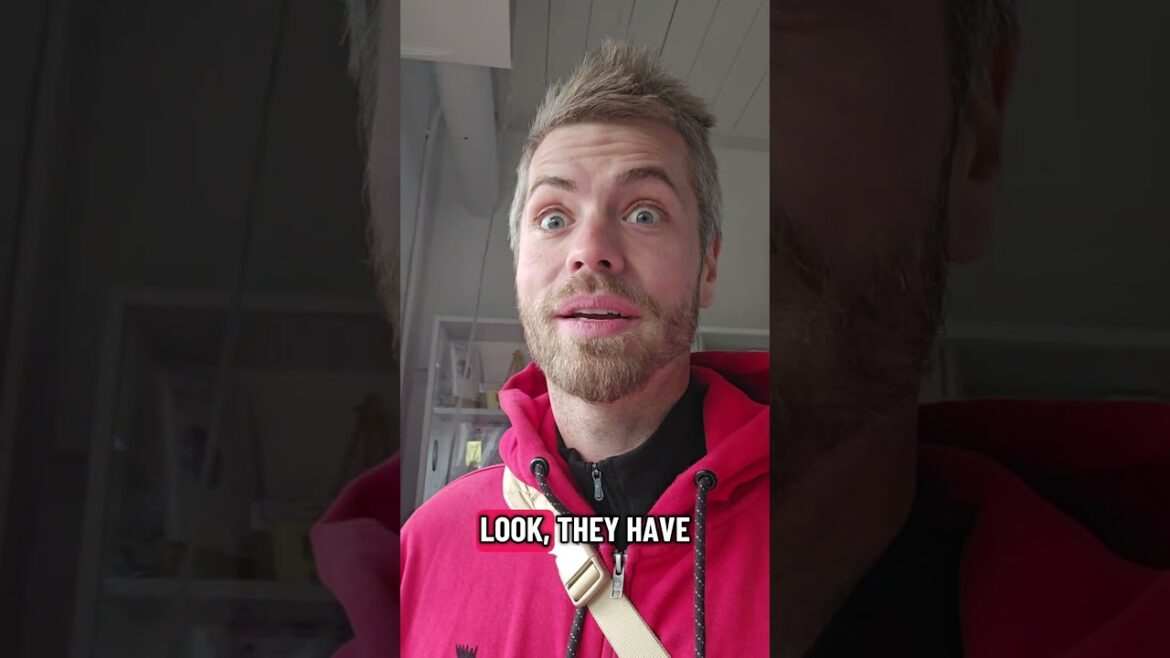 Cats in Wakayama, Japan