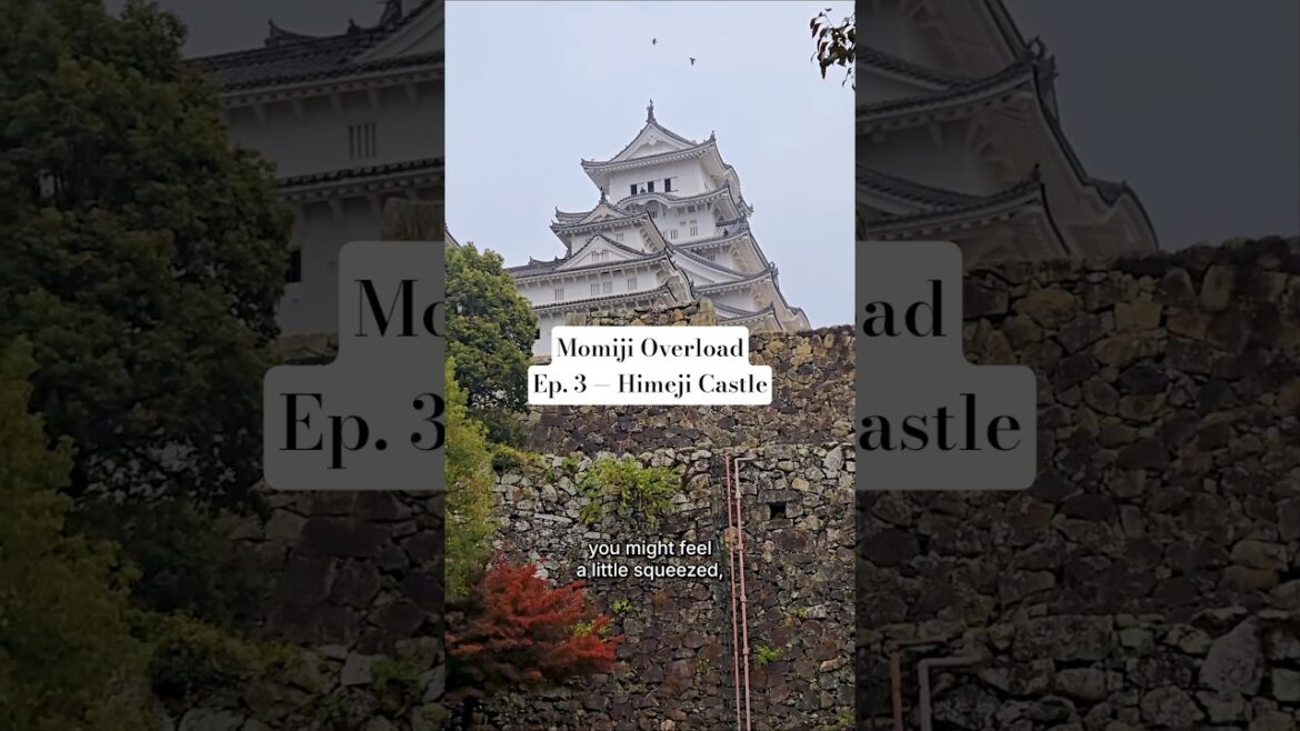 Himeji Castle in Momiji Season