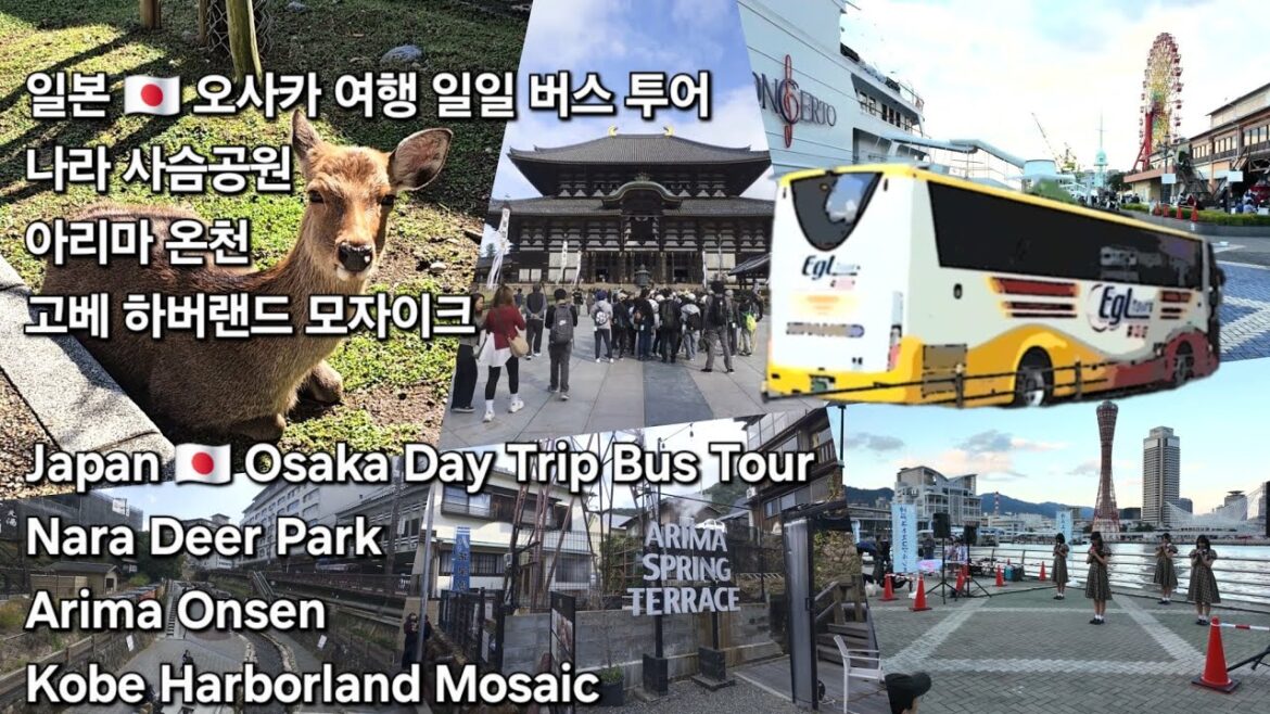 🇯🇵ep176 시간적 효율 가성비 투어, 스트레스 없는 일일 버스 투어 efficient time management and no stress day bus tour #travel