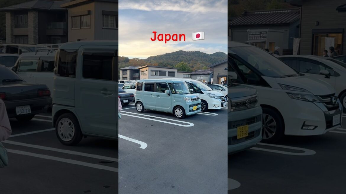 Japan #kyoto #travel #trending #japan