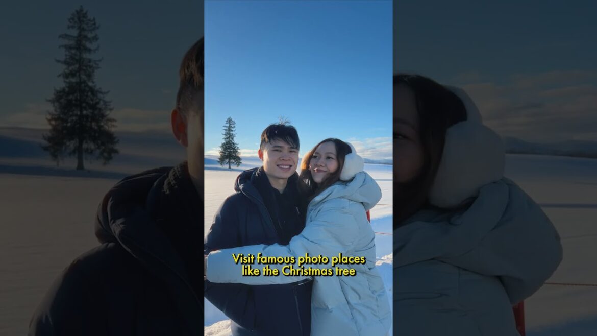 Hokkaido Day Trip to Biei & Furano ❄️