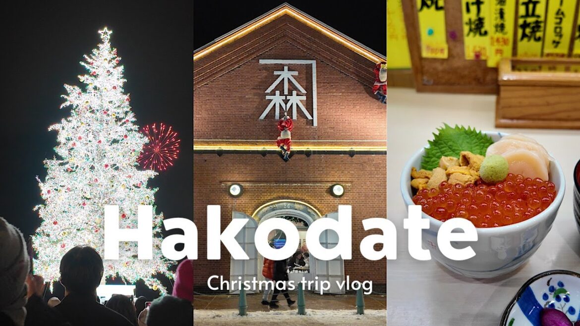 Winter in Hokkaido ❄️ 3-Day Christmas Trip to Hakodate 🎄 Japan VLOG 📸 Winter in Hokkaido ❄️ 3-Day Christmas Trip to Hakodate 🎄 Japan VLOG 📸