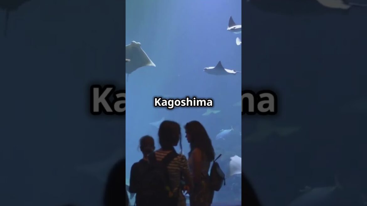 Top Things to Do Near Kagoshima Cruise Port! 🌊🚢✨ #Kagoshima #TravelJapan #CruiseAdventures
