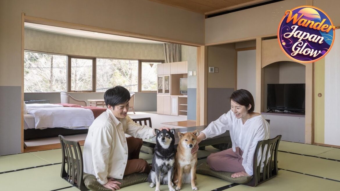 Izumigo Lake Hamanako Dog Paradise Hotel | Hamamatsu, Japan | Hotel Review 🛏️