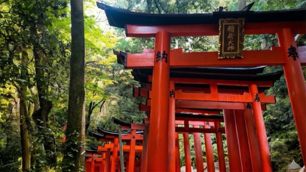 Exploring Kyoto’s No.1 Must-Visit Spot | Fushimi Inari Shrine’s Senbon Torii | Japan’s WalkingTour Exploring Kyoto’s No.1 Must-Visit Spot | Fushimi Inari Shrine’s Senbon Torii | Japan's WalkingTour