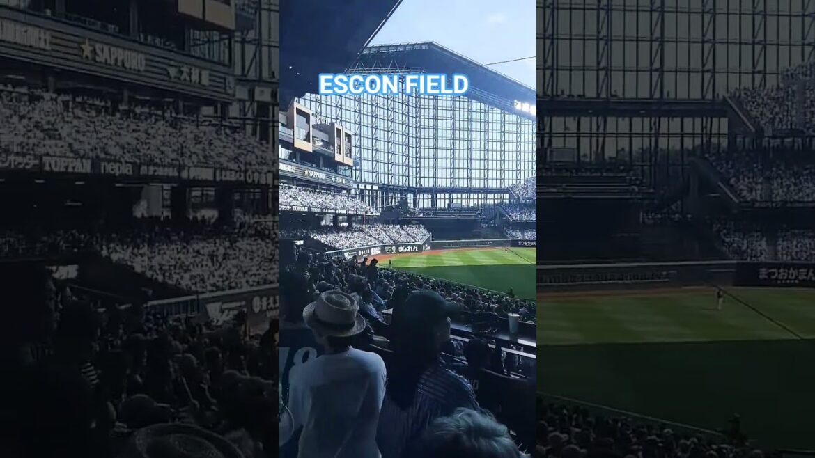 I went to Escon Field, a professional baseball stadium in Hokkaido, Japan.