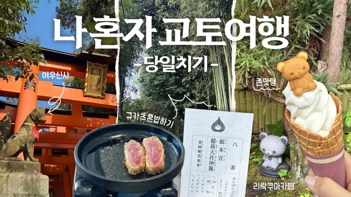 ep.3 일본 워홀 브이로그ㅣ교토 당일치기 갔다왔습니다! 후시미이나리, 아라시야마, 청수사 등등 ep.3 일본 워홀 브이로그ㅣ교토 당일치기 갔다왔습니다! 후시미이나리, 아라시야마, 청수사 등등