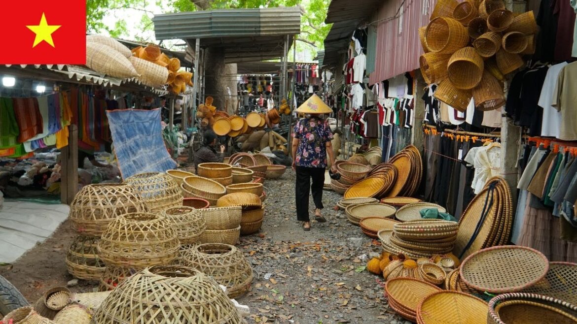 Vietnam's Hidden Village Market – Nua Market Experience in Hanoi