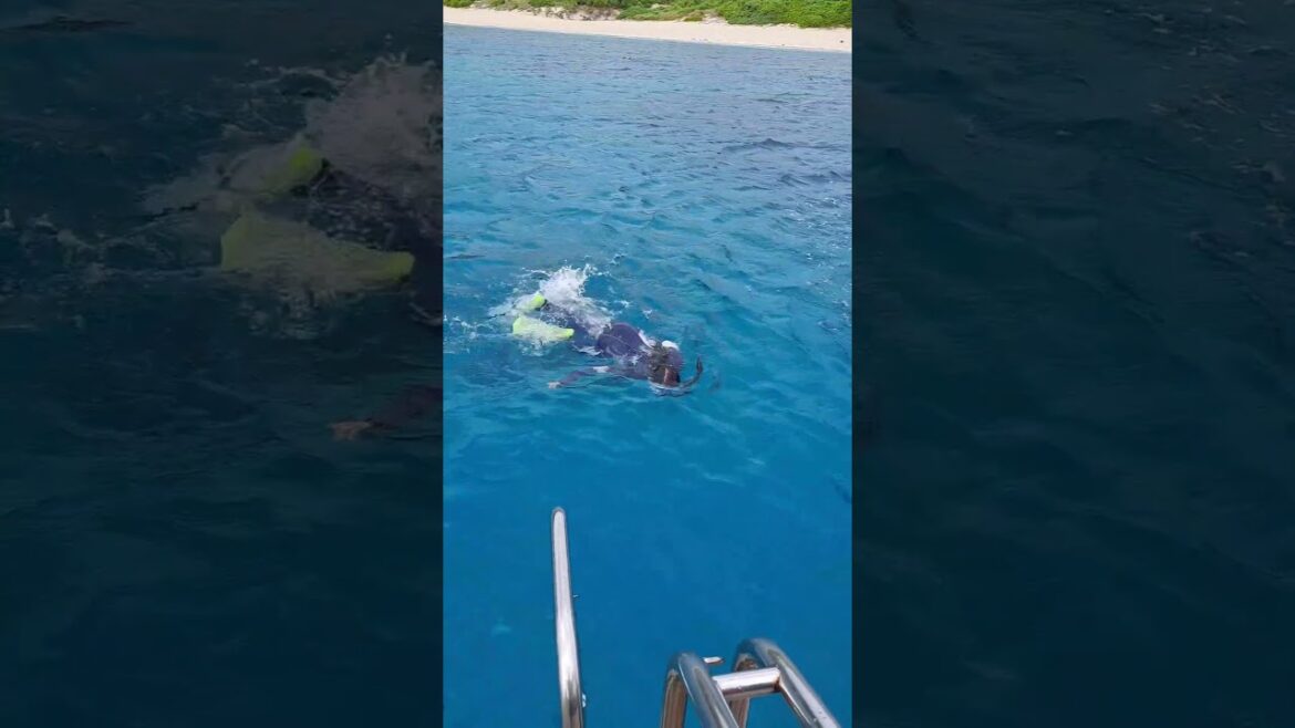 #Okinawa #Japón 🇯🇵