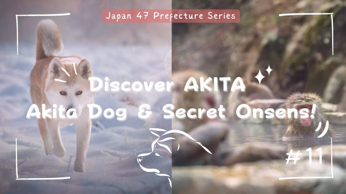 Why AKITA Should Be On Your Japan Bucket List – Winter Wonderland & Authentic Culture