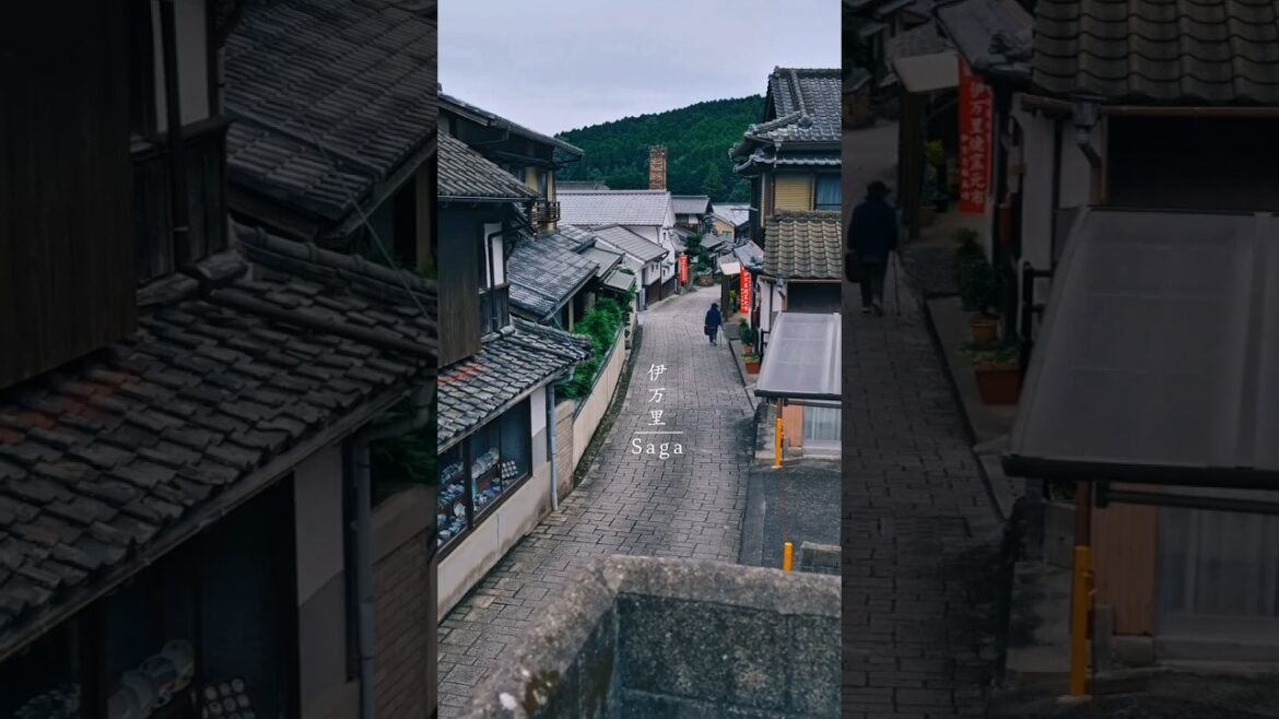 Beautiful Scenery of Japan? 🇯🇵, Okayama, Saga, Yamanashi, Nara, Fukuoka, Hyogo, #okayama #yamanashi