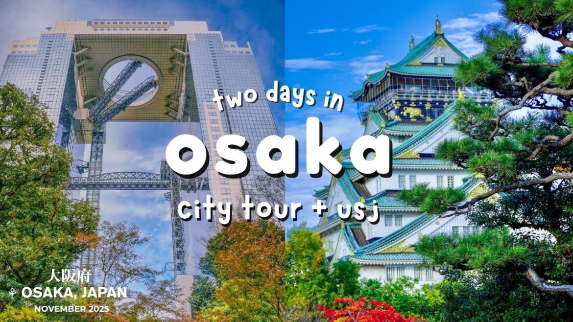 Osaka Travel Vlog🚆 | Exploring the City and Universal Studios Japan (USJ) | Japan Travel Vlog