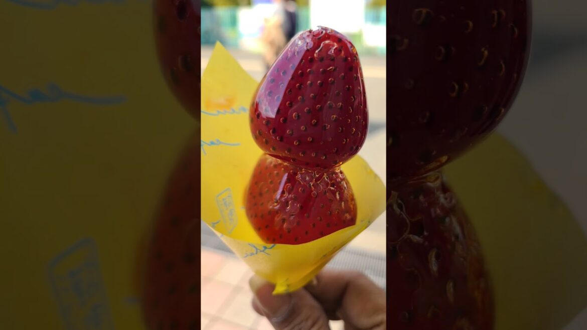 World Expo70 Japan #shortsfeed #japan  #viralvideo #worldexpo #viralshorts