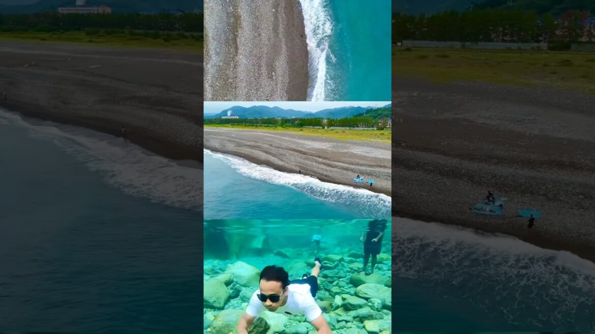 #LAVENDER BEACH🏝️⛱️ #Niigata Prefecture##japan #travel #youtubeshorts #nature #viralvideo #viral