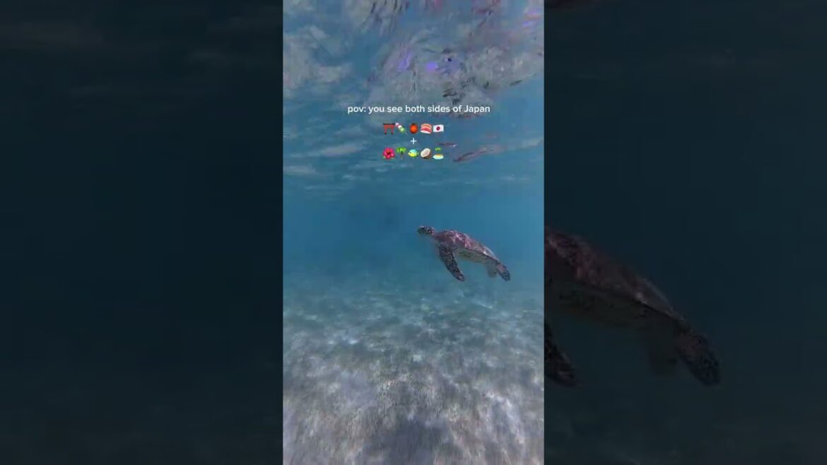 Tokyo to Okinawa: The Dream Japan Vacation 🤩 #japantravel