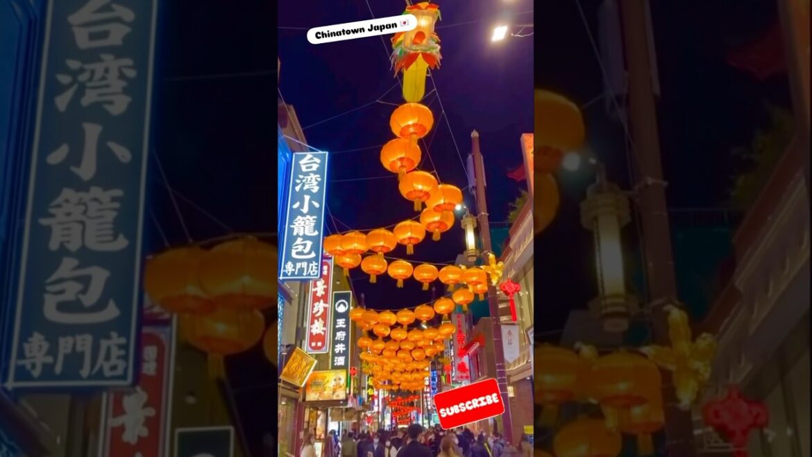 Chinatown in Yokohama 🇯🇵💕 #shorts #ytshorts #shortsfeed #chinatown #yokohama #japan #vlog #vlogs